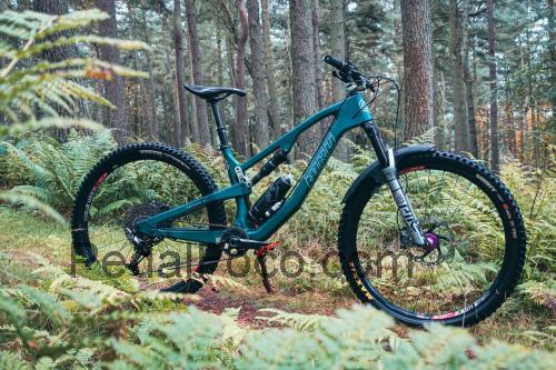 Bird Aether 9C ficha tecnica